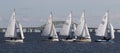 Sailboats competing in a winter regatta with the Great South Bay bridge in the background Royalty Free Stock Photo