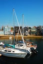 Sailboats docked in a harbor Royalty Free Stock Photo