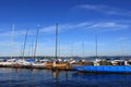 Sailboats docked in Lake Washington Royalty Free Stock Photo