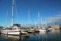 Sailboats docked at a marina