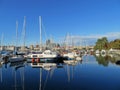 Sailboats docked at a marina