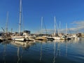 Sailboats docked at a marina Royalty Free Stock Photo