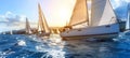 Sailboats elegantly cruising in harmony across the vast expanse of the ocean waters