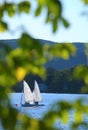 Sailboats framed by leaves