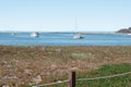 Sailboats. Half Moon Bay, California, USA Royalty Free Stock Photo