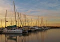 Sailboats in a harbor in Bradenton, Florida at sunset Royalty Free Stock Photo