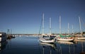 Sailboats in a harbor in San Diego Royalty Free Stock Photo