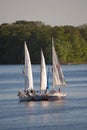 Sailboats on a Lake in Minnesota