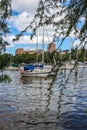 Sailboats in a marina on the Brisbane River in Australia with buildings in the background and framed by tendrils of trees hanging Royalty Free Stock Photo