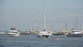 Sailboats in marina