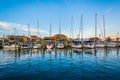 Sailboats in a marina at sunset, in Annapolis, Maryland.