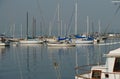 Sailboats Still on San Diego Bay Royalty Free Stock Photo