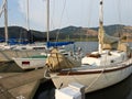 Sailboats Moored at a Dock on on Oregon River