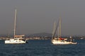 Sailboats Moored Off Ilha De Culatra Portugal
