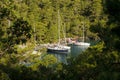 Sailboats moored in Sarsala Bay, Gocek. Royalty Free Stock Photo