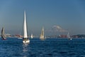 Sailboats and mountain