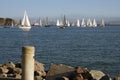 Sailboats off shore