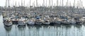 Sailboats in Port Vell