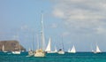 Sailboats preparing to race in the caribbean