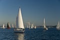 Sailboats at Puget Sound Royalty Free Stock Photo