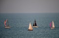 Sailboats Racing on Lake Michigan Royalty Free Stock Photo