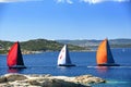 Sailboats Racing Royalty Free Stock Photo