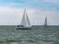 Sailboats sailing on IJsselmeer lake near Windpark Fryslan, Netherlands