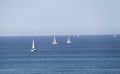 Sailboats and Schooners in The Sea