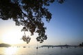 Sailboats at sunset in Adriatic sea Royalty Free Stock Photo