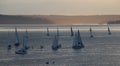 Sailboats at sunset on Elliot Bay Royalty Free Stock Photo