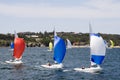 Sailboats in Sydney Harbor