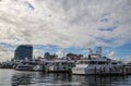 Sailboats and yachts at Palm Beach Docks, Florida Royalty Free Stock Photo