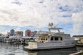 Sailboats and yachts at Palm Beach Docks, Florida Royalty Free Stock Photo