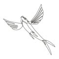 Sailfin Flying Fish Taking Off Continuous Line Drawing