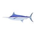 Sailfish blue marlin, swordfish with long thin nose. Royalty Free Stock Photo