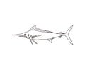 Sailfish continuous line art drawing style. Minimalist black marlin fish seafood outline. editable active stroke vector