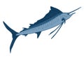 Sailfish illustration isolated on a white background Royalty Free Stock Photo