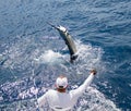 Sailfish releas Royalty Free Stock Photo