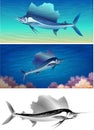 Sailfish set Royalty Free Stock Photo
