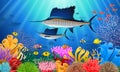 Sailfish Swimming Under Water Royalty Free Stock Photo