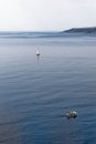 Sailing along Cornwall coast near Castle St Michael Mount - Cornwall, England Royalty Free Stock Photo