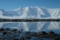 Antarctica penguin in a mirror blue bay beneath white snow capped mountains