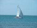 Sailing on the blue sea