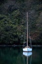 Sailing boat at anchor on the river Royalty Free Stock Photo