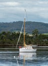 Sailing boat anchored on the Huon River, Tasmania Royalty Free Stock Photo