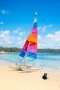 Sailing boat with colorful sail on sandy beach near the ocean bay. Black dog on the sand Royalty Free Stock Photo