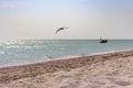 Sailing boat with flying seagull foreground and beach with white sand. Fishing and tracel concept. Royalty Free Stock Photo