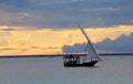 Sailing boat inn Zanzibar Royalty Free Stock Photo
