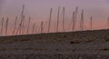 Sailing boat masts and pebble beach Royalty Free Stock Photo