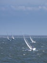 Sailing boat race Royalty Free Stock Photo